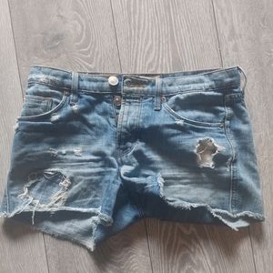 Hudson cutoff denim shorts